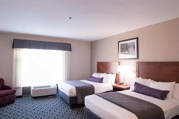 Bluemont Hotel image 20