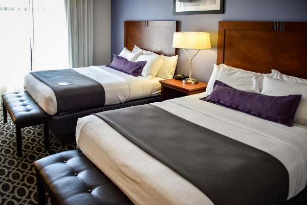 Bluemont Hotel image 7